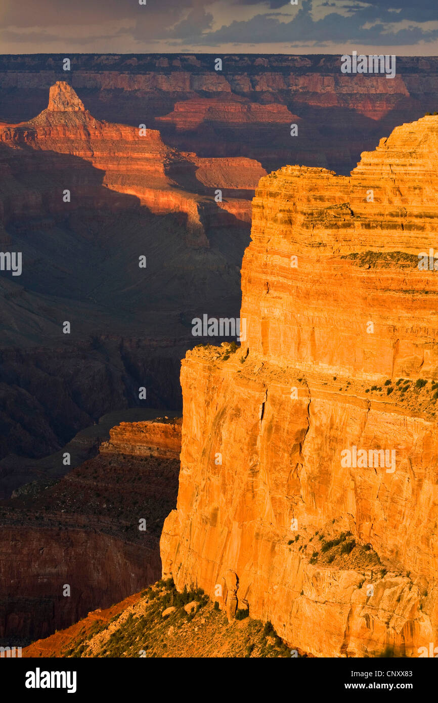 light and shadow at rock walls of Grand Canyon, souther edge from Mohave Point in evening light, USA, Arizona, Grand Canyon National Park Stock Photo