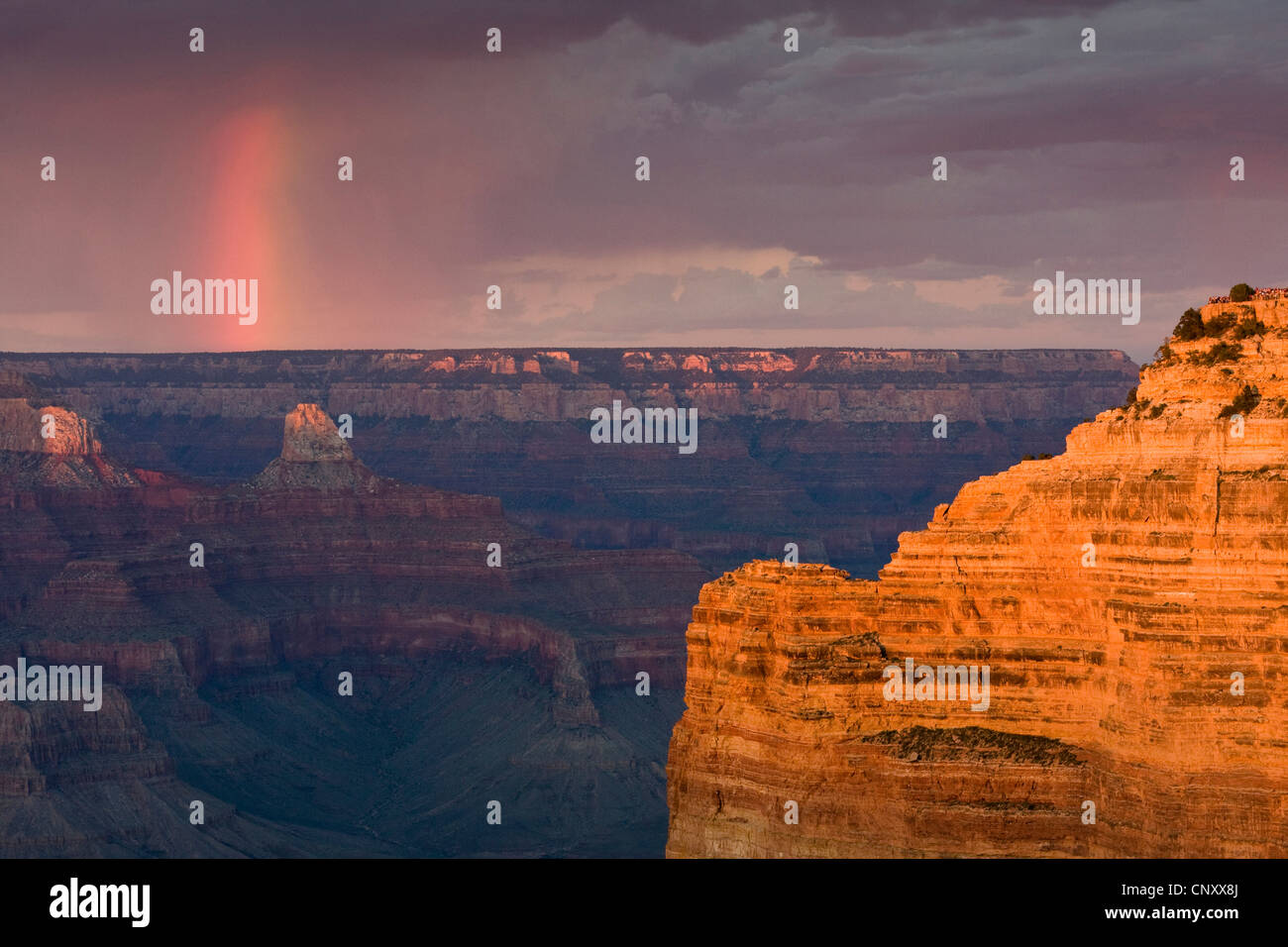 view from Mohave Point to Hopi Point and rock wall at the southern edge of the Grand Canyon in evening light , USA, Arizona, Grand Canyon National Park Stock Photo