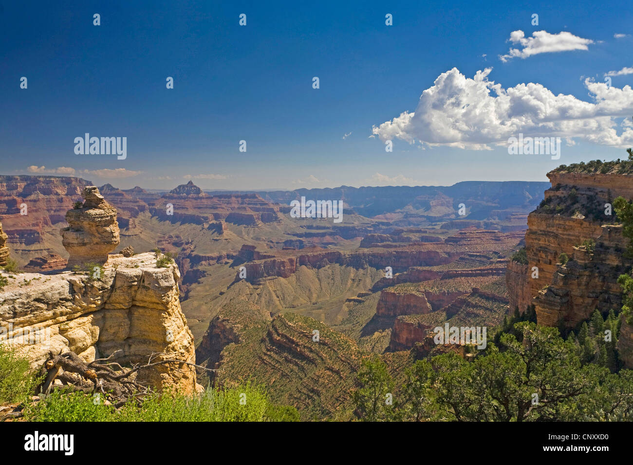 grand canyon interest of point Interest At Points Stock Of Canyon & Points Photos Grand grand canyon interest of point Interest At Points Stock Of Canyon & Points Photos Grand