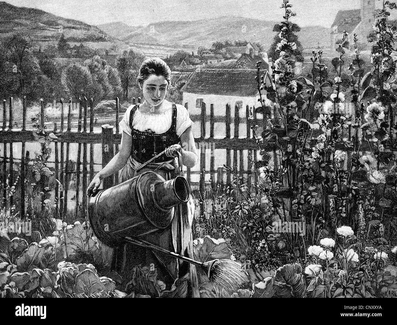 Woman watering plants in her garden, historic wood engraving, about 1897 Stock Photo