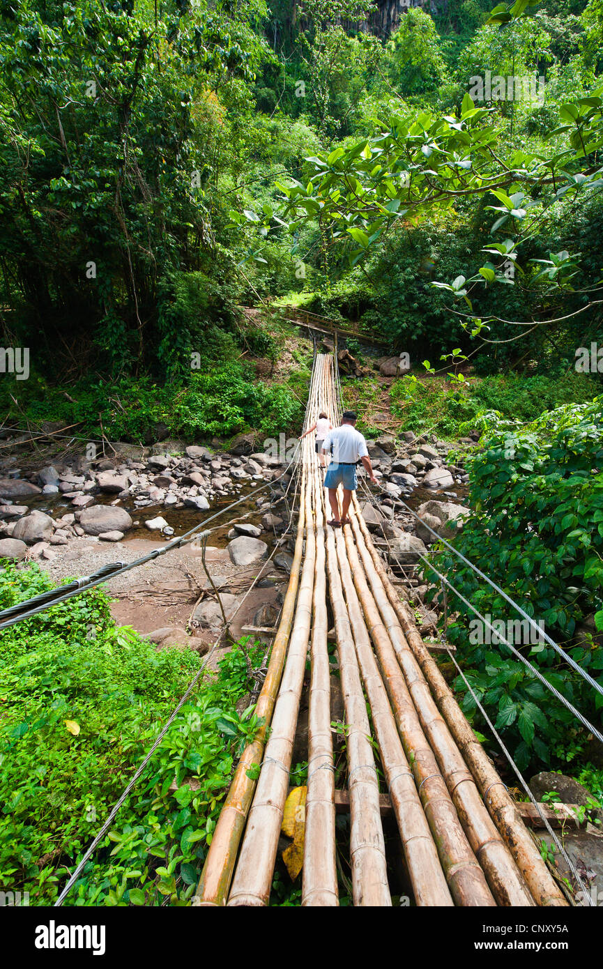 Bamboo bridge over river near the Dark View Falls, Saint Vincent and the Grenadines Stock Photo