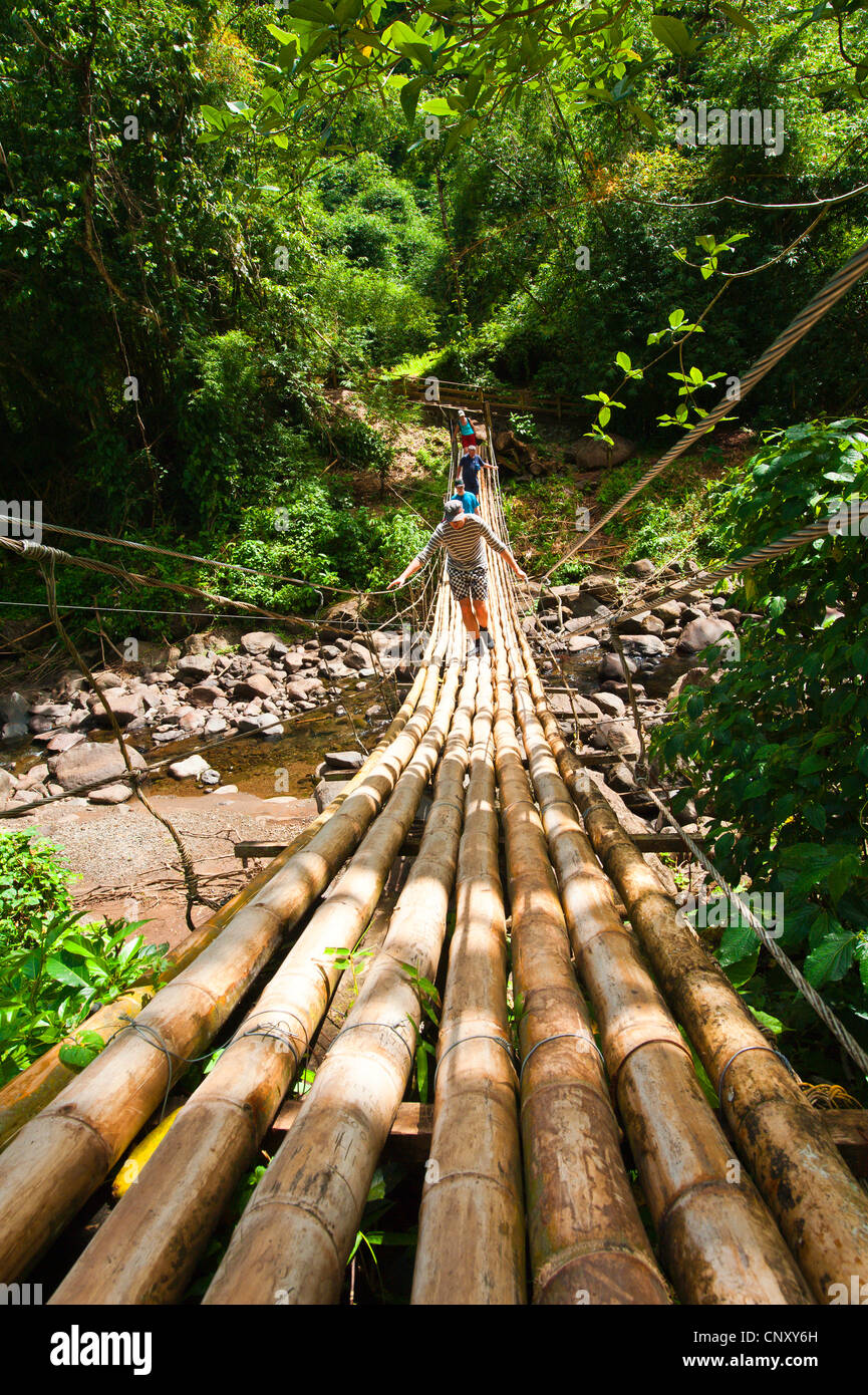Bamboo bridge over river near the Dark View Falls, Saint Vincent and the Grenadines Stock Photo