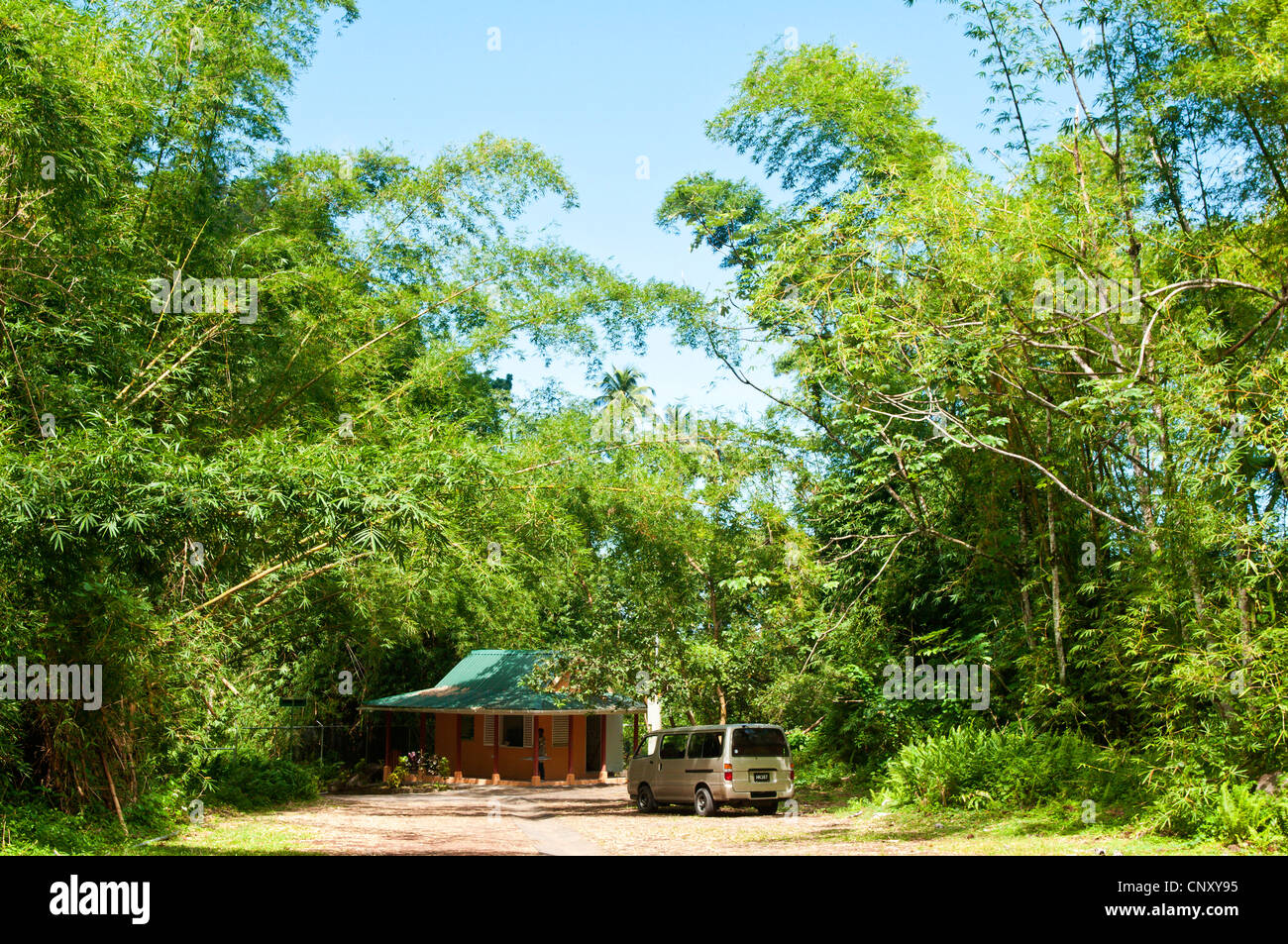 van in front of a hut surrounded by bamboo near the Dark View Falls