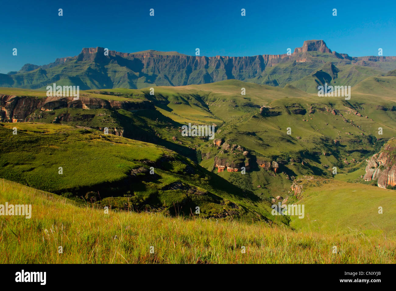 wide landscape with rock plateaus covered with grass, South Africa, Kwa Zulu Natal, Royal Natal National Park Stock Photo