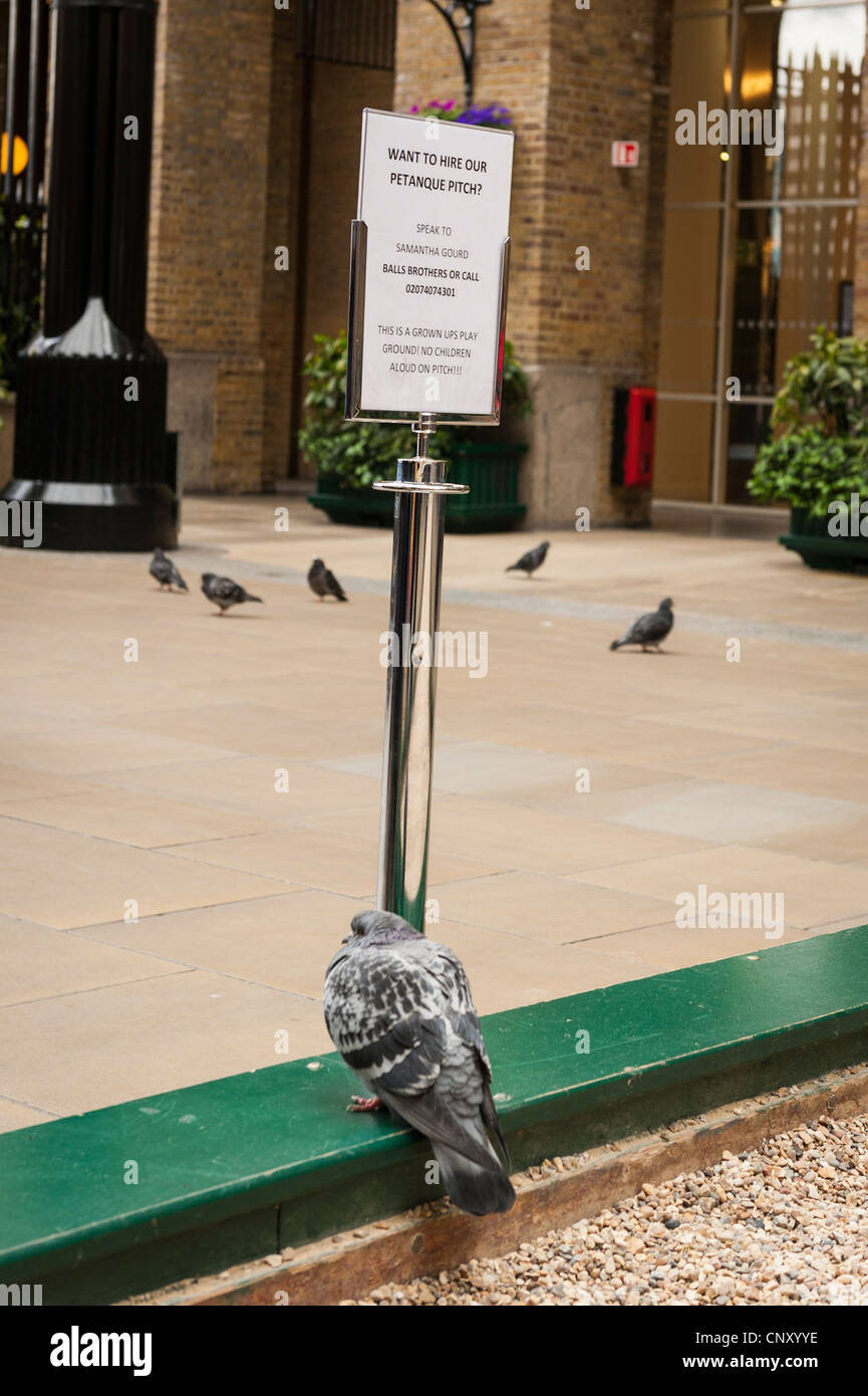 Hays Wharf Galleria pigeon perched by funny sign hire our petanque pitch BALLS Bros grown ups playground no children kids ALOUD ! Stock Photo