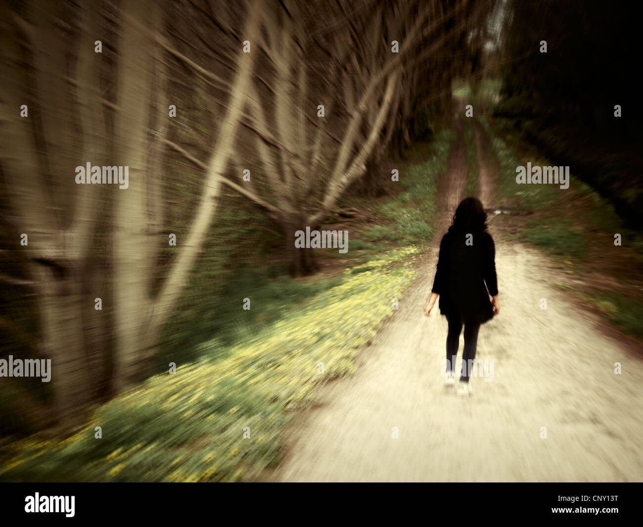 Woman walks along woodland track. Stock Photo