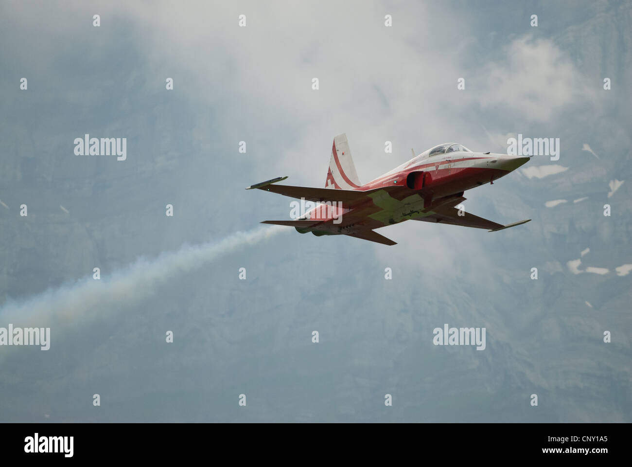 Patrouille Suisse with Tiger jets during an airshow in Mollis 2009, Switzerland Stock Photo
