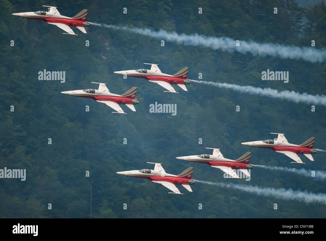 Patrouille Suisse with Tiger jets during an airshow in Mollis 2009, Switzerland Stock Photo