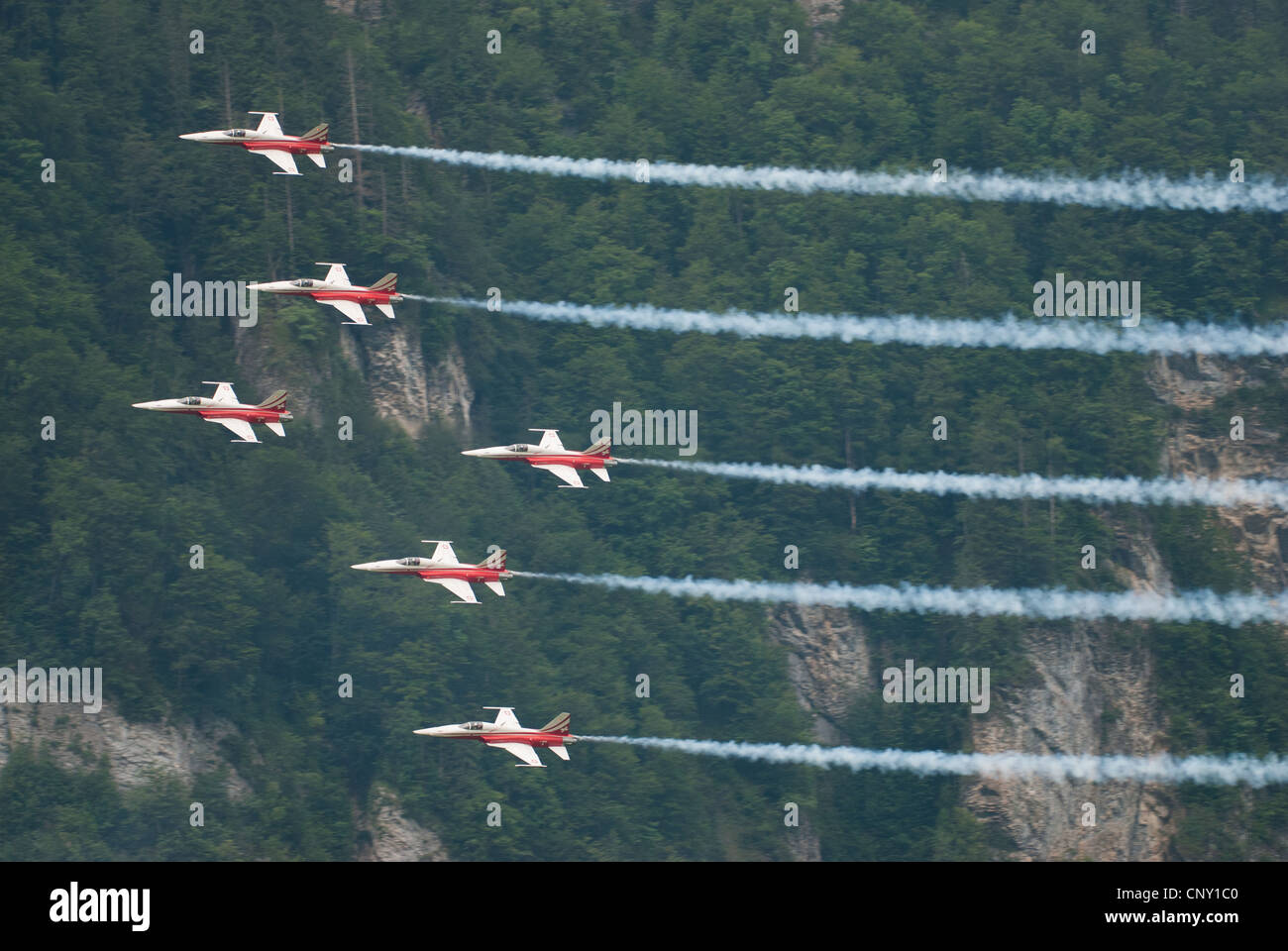 Patrouille Suisse with Tiger jets during an airshow in Mollis 2009, Switzerland Stock Photo