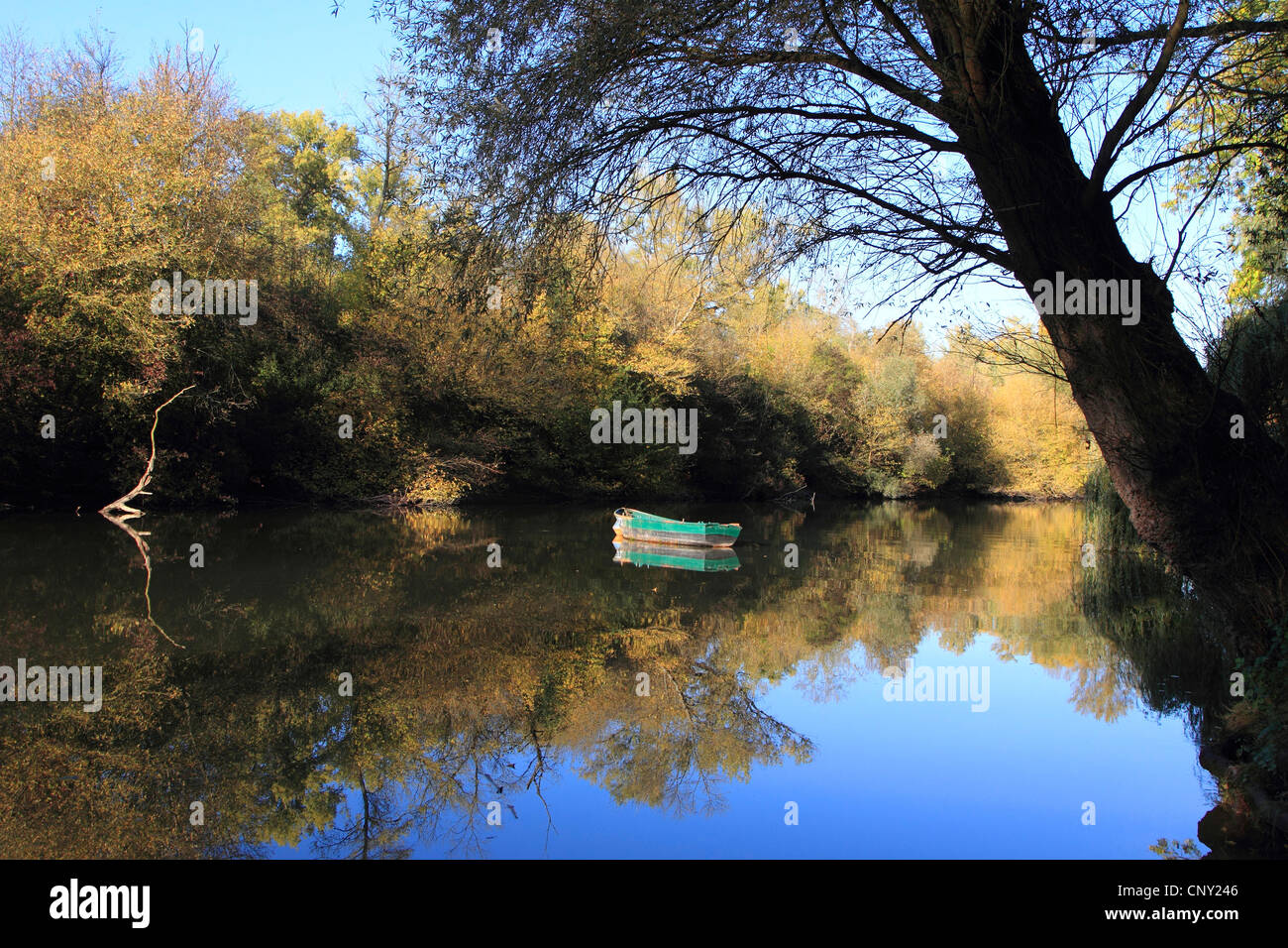 oxbow lake of old rhine in autumn, Germany Stock Photo