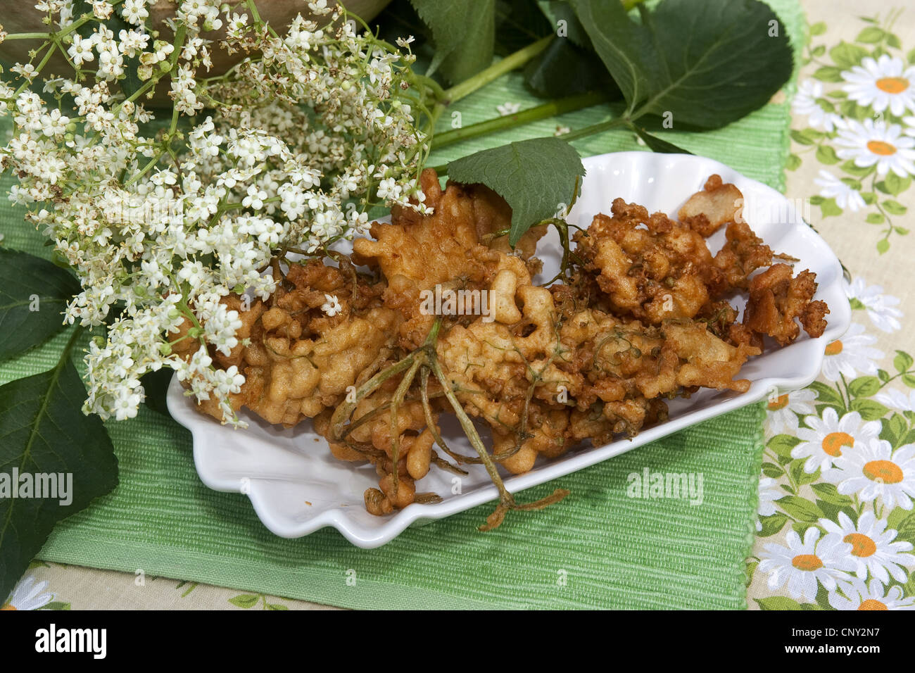European black elder, Elderberry, Common elder (Sambucus nigra), inflorescence dipped into batter and deep-fried are served in a porcelain dish, Germany Stock Photo
