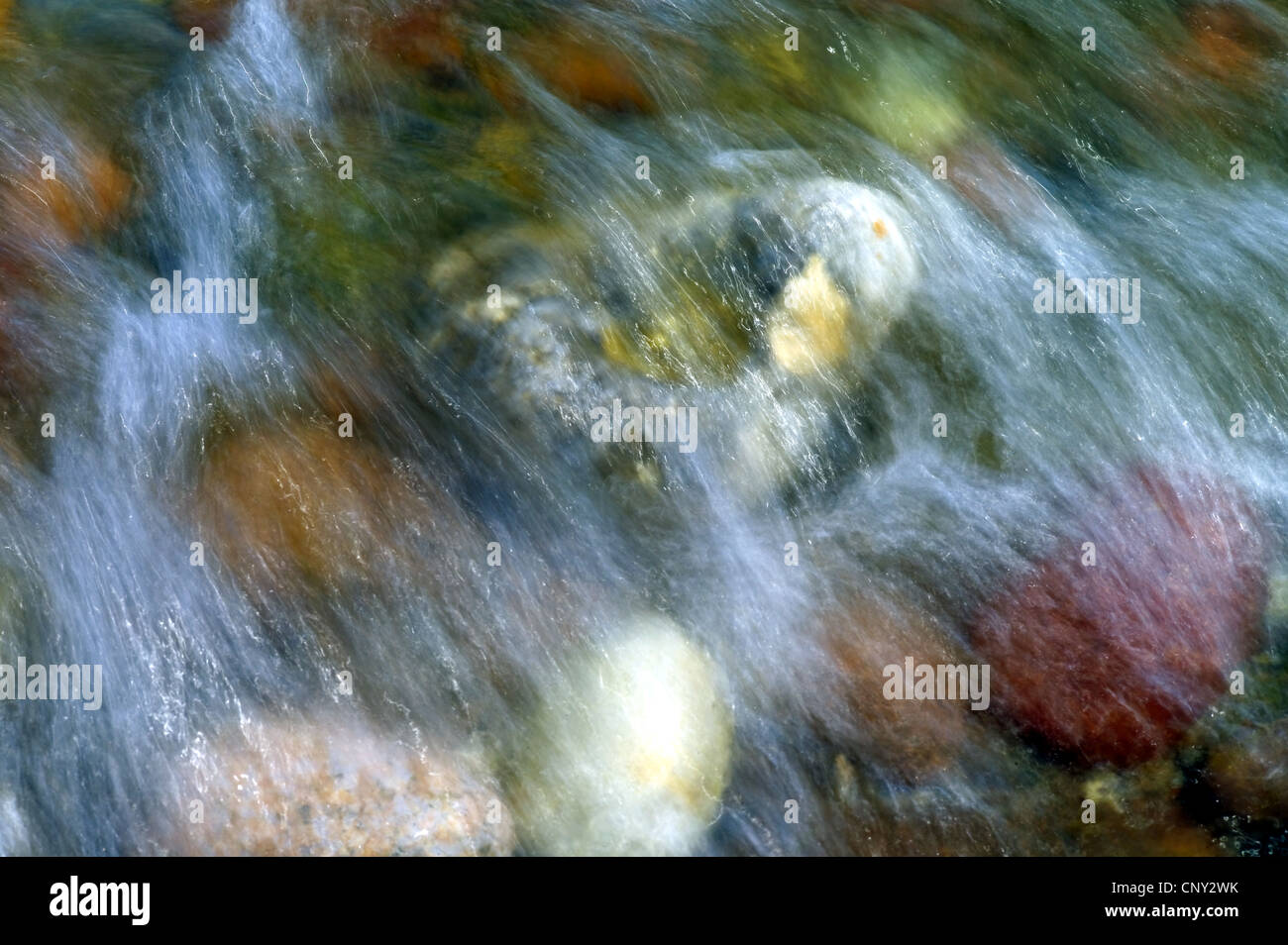 stones on the beach of the Baltic Sea, Germany, Mecklenburg-Western Pomerania, Kuehlungsborn Stock Photo