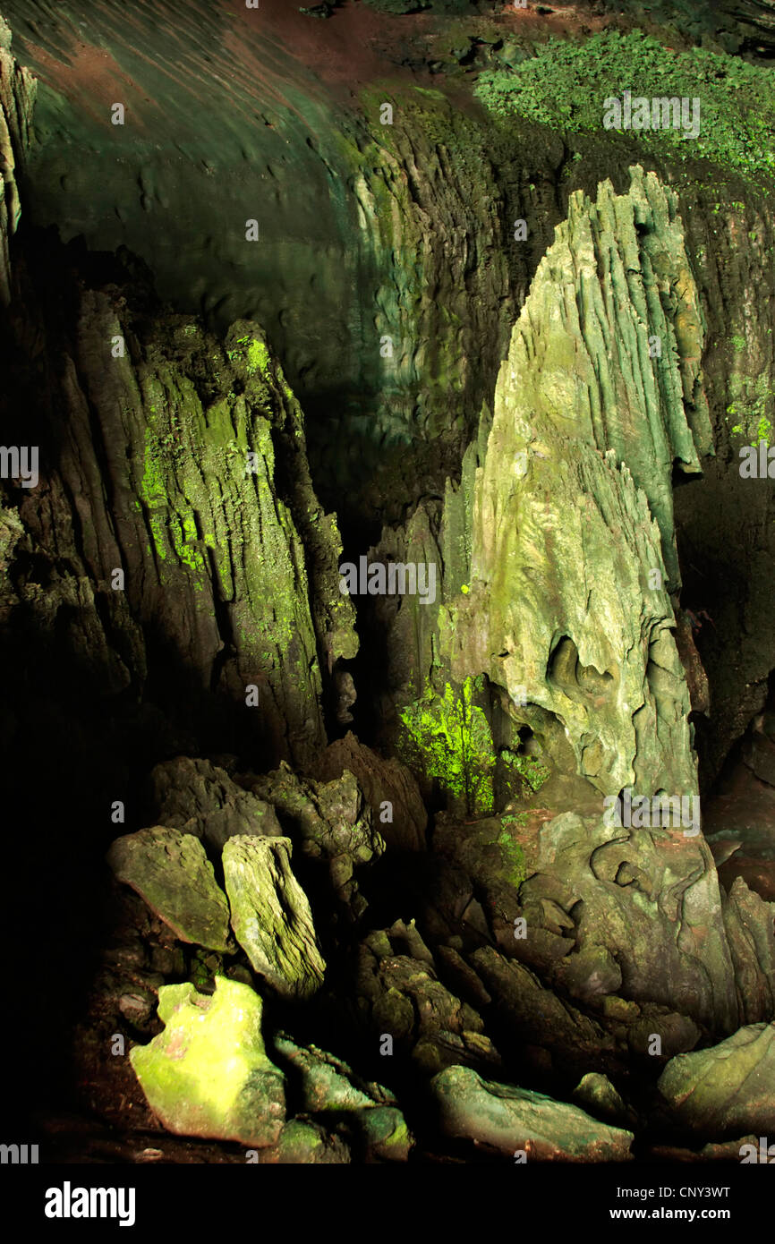 Niah Caves, Malaysia, Borneo, Niah, Sarawak Stock Photo