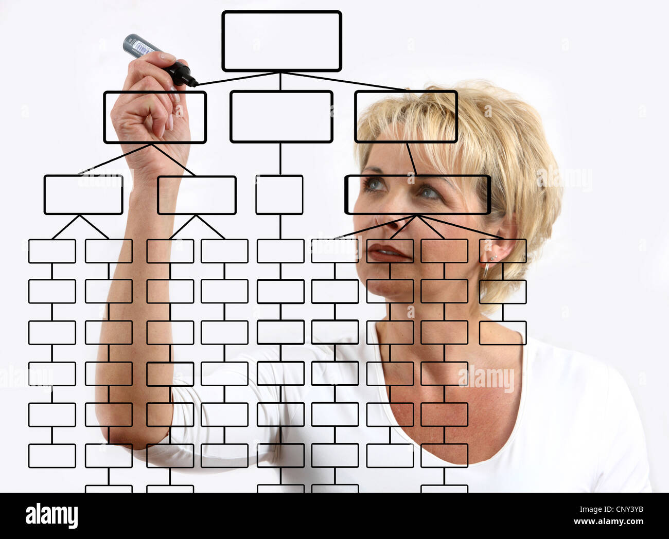 Woman is drawing a mind map. Organize scheme, organization structure. Stock Photo