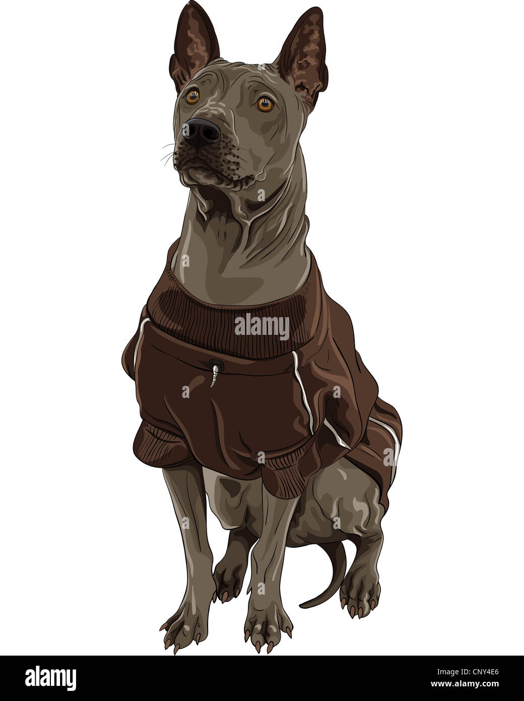 ridgeback jacket