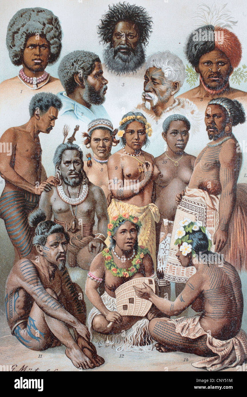 Australian national types: 1 Fiji, 2 Tasmanians, 3.S?daustralier, 4.Maori, 5.Neu-Britons, 6.Samoa Islanders, 7.Neu-Irishman, 8.K Stock Photo