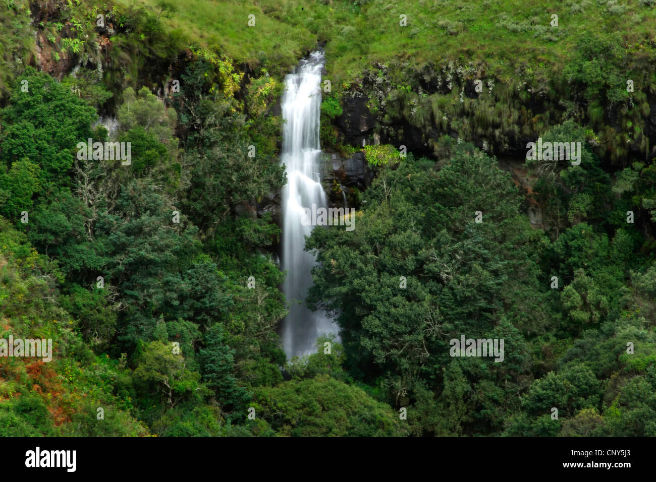 waterfall at the mountain Monk's Cowl (3.482 m) in the Drakensberg, South Africa, Kwa Zulu Natal, uKhahlamba-Drakensberg-Park , Monk's Cowl Stock Photo