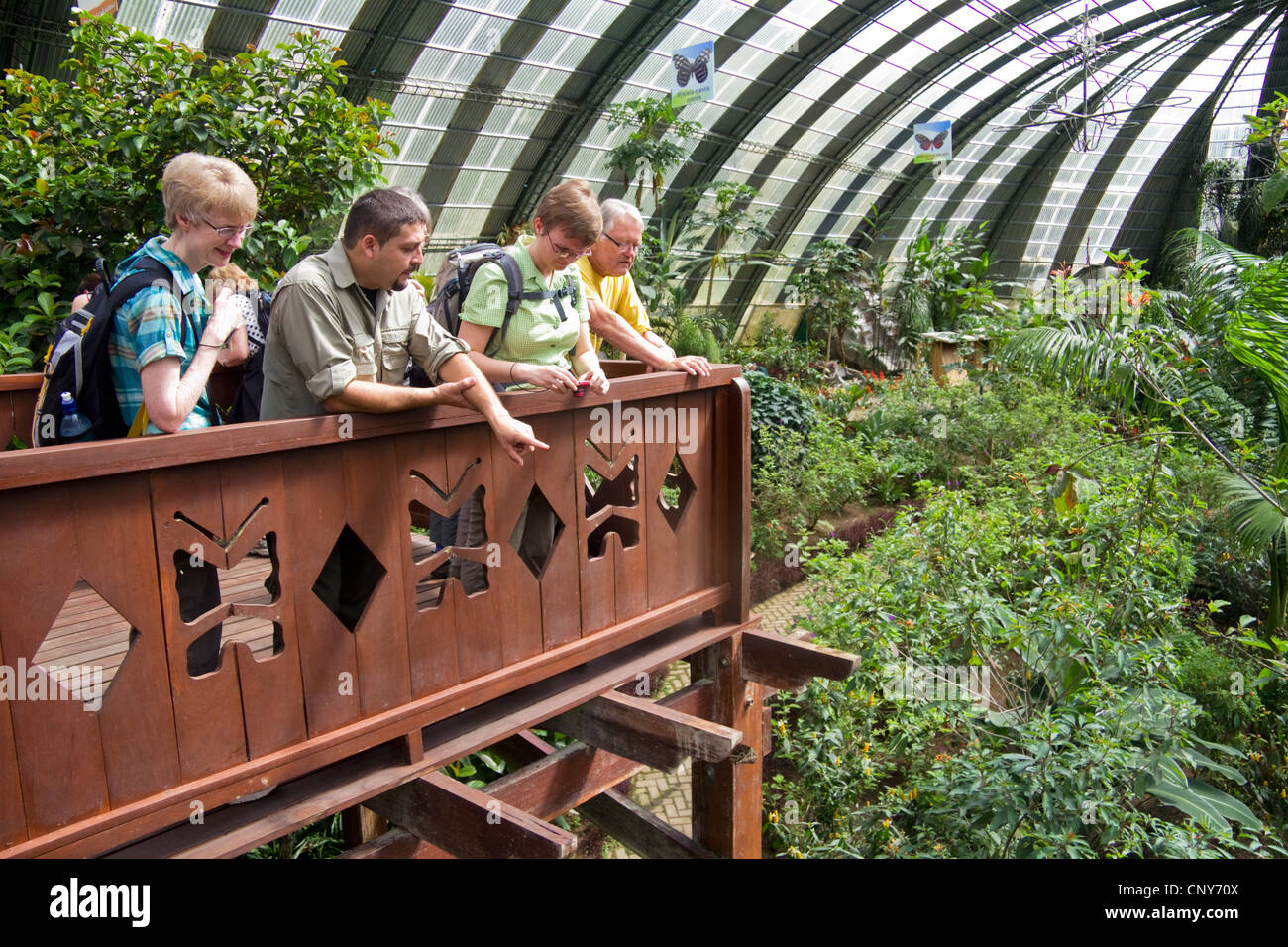 Butterfly gardens in the Selvatura Adventure Park, Monteverde, Costa