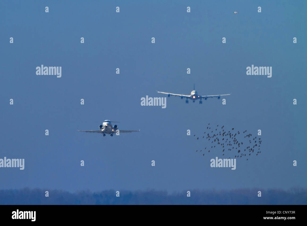 airplanes flying in the sky
