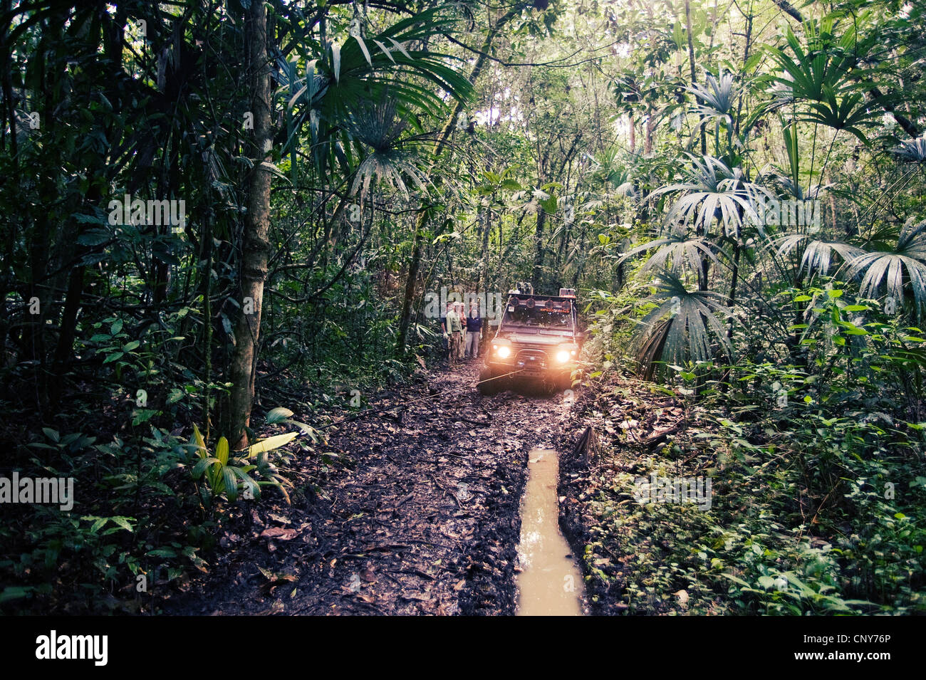 Monkey river trail, Belize Stock Photo