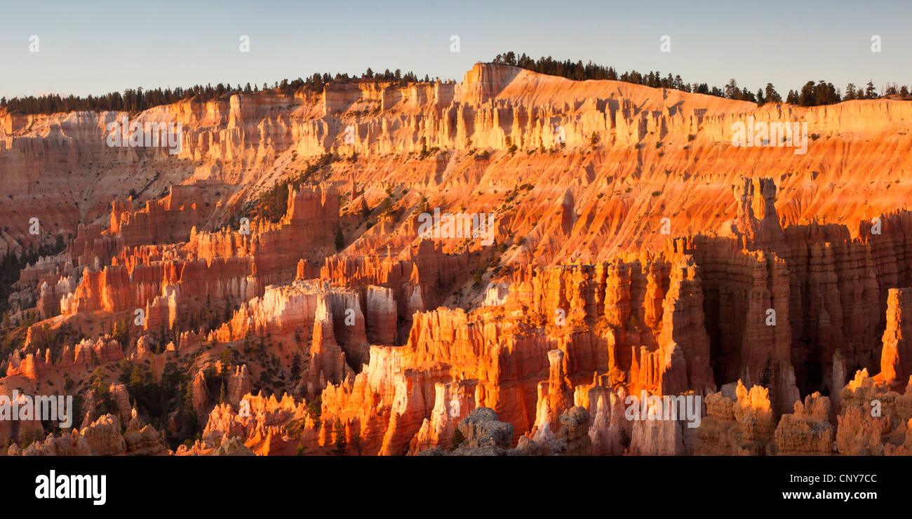 Hoodoos in the 'Silent City' in morning light, USA, Utah, Bryce Canyon National Park, Colorado Plateau Stock Photo