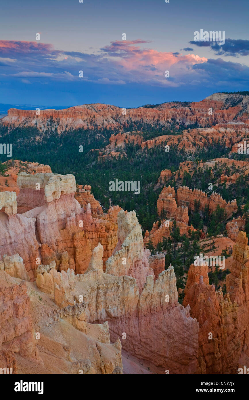 view of amphitheatre from the sunrise point after sunrise, USA, Utah, Bryce Canyon National Park, Colorado Plateau Stock Photo