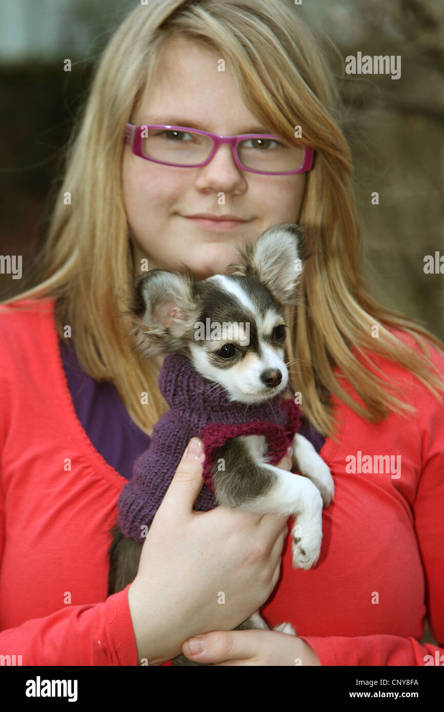 Chihuahua (Canis lupus f. familiaris), girl with young Chihuahua in the hands Stock Photo
