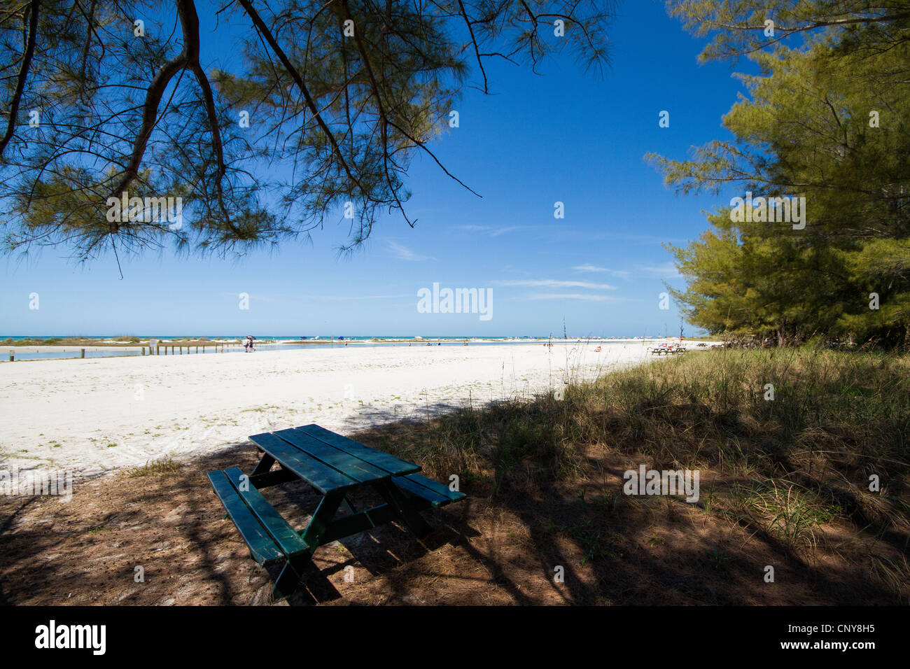 Picnic table under the tree overlooking the beach at the Fort De Soto Park, Florida Stock Photo