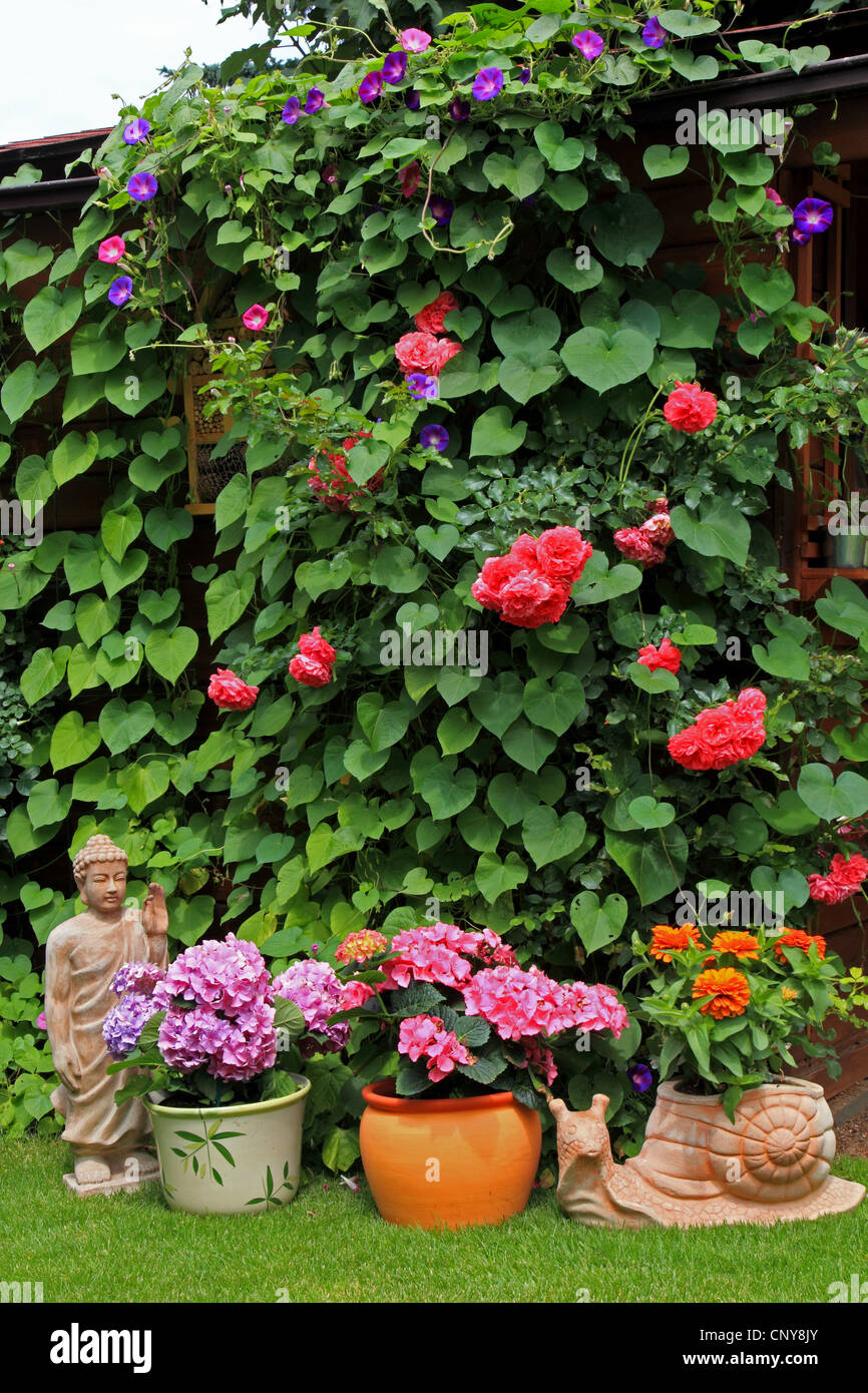 Summer house with flowers and garden figures, Germany Stock Photo - Alamy