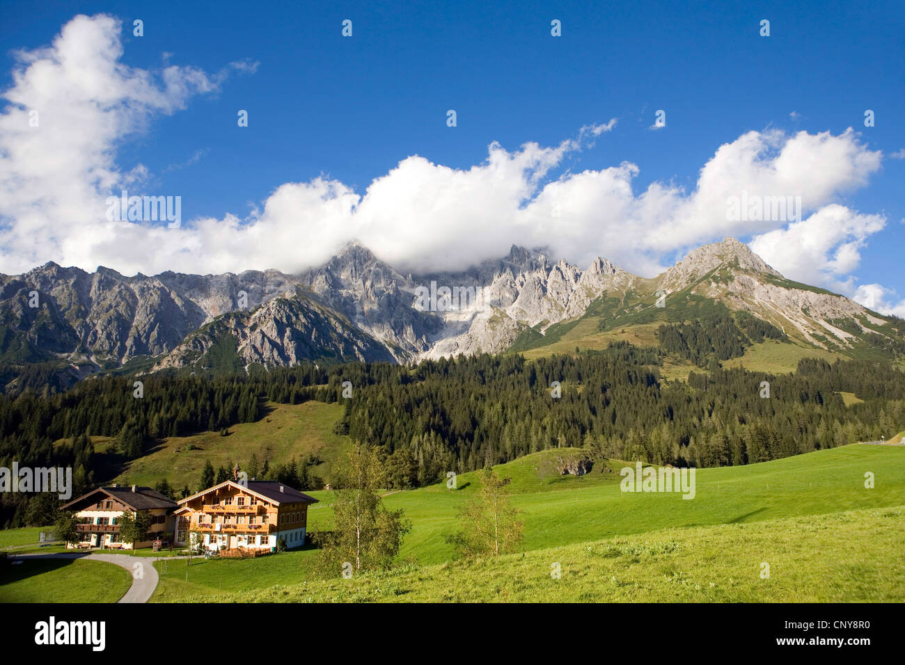 Hochkoenig mountain range, Austria, Salzburg, Dienten Stock Photo