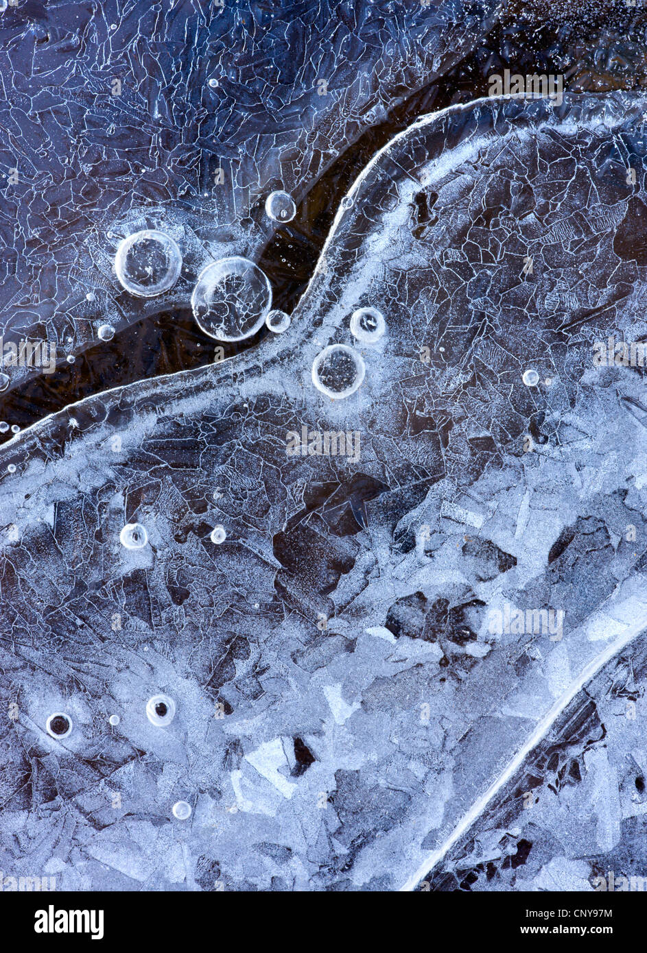 Ice patterns in a frozen puddle, Morchard Bishop, Devon, England. March 2009 Stock Photo