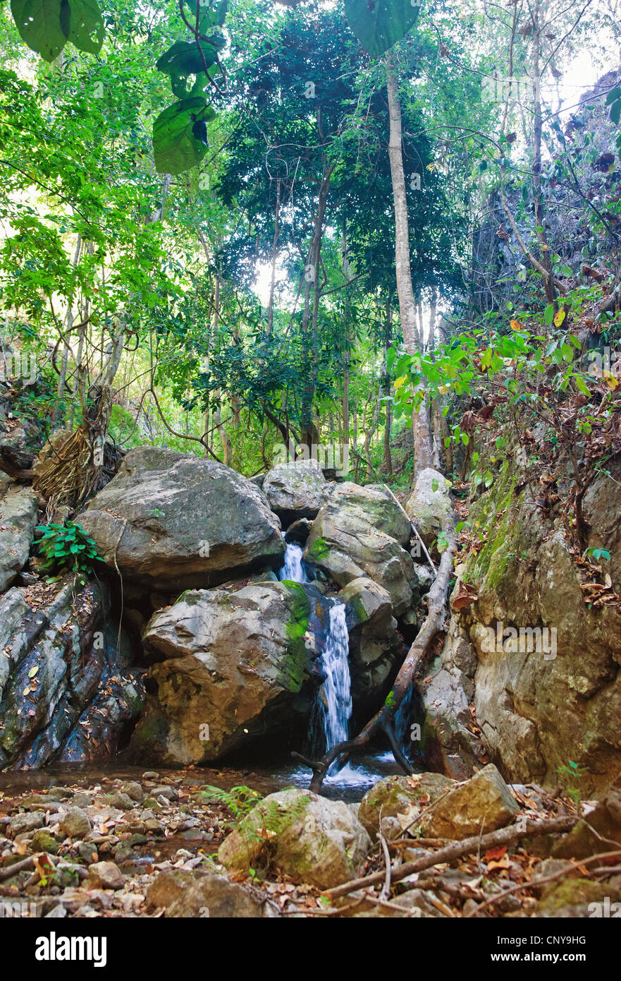 small waterfall cascade in the stream in northern thailand Stock Photo