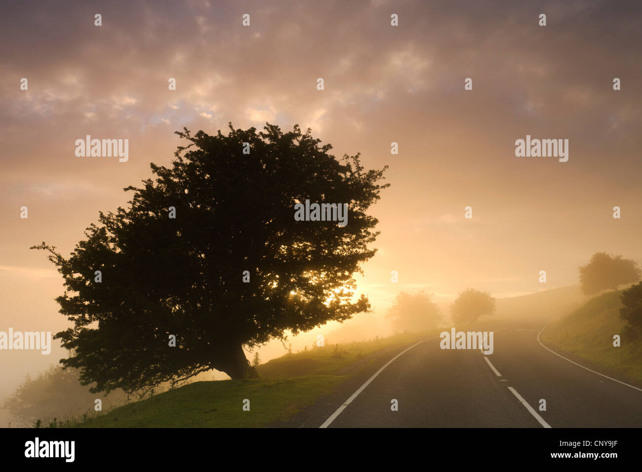 Moorland road hires stock photography and images Alamy