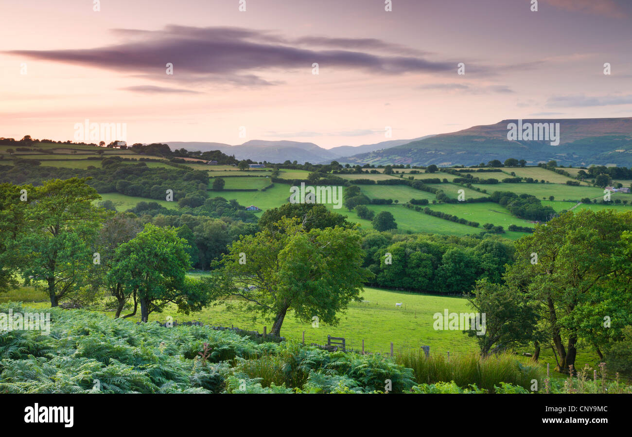Rolling countryside at twilight, Brecon Beacons National Park, Powys, Wales, UK. Summer (July) 2009 Stock Photo