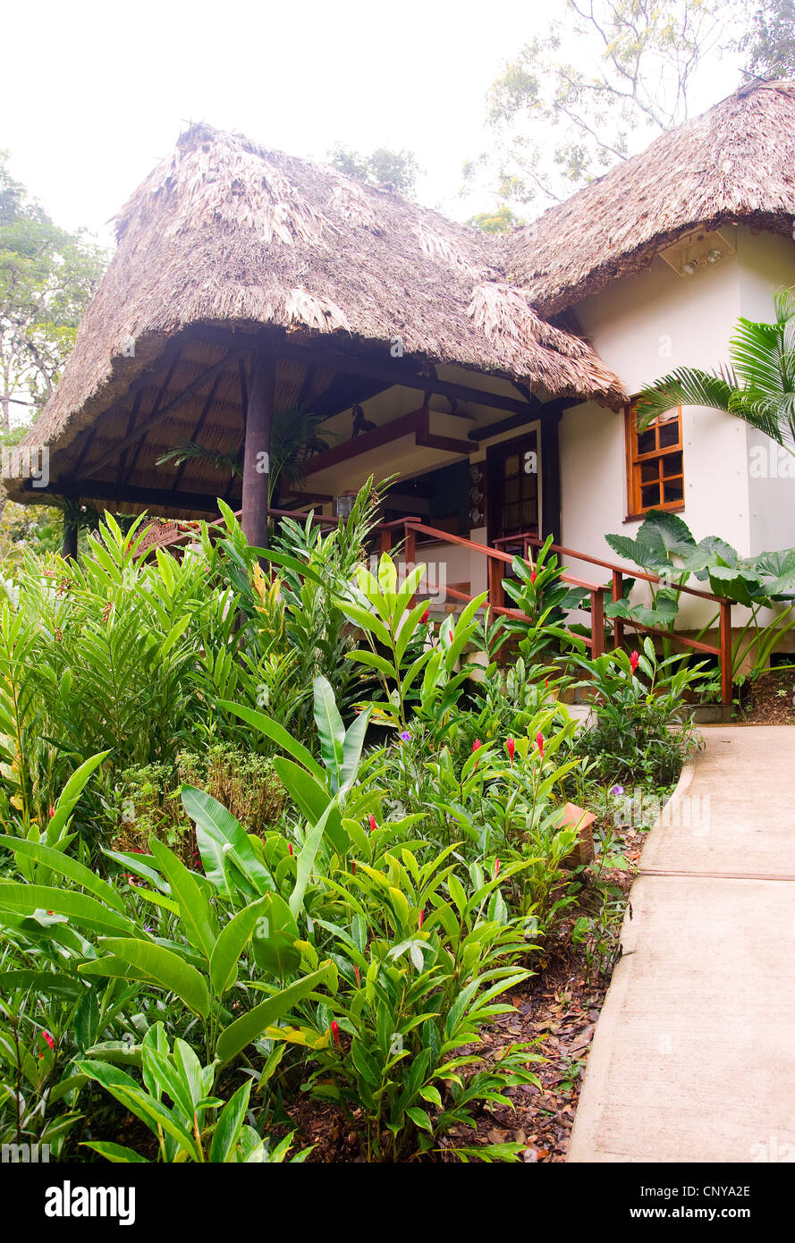 Grounds At The Lodge At Chaa Creek Belize Stock Photo 47929126
