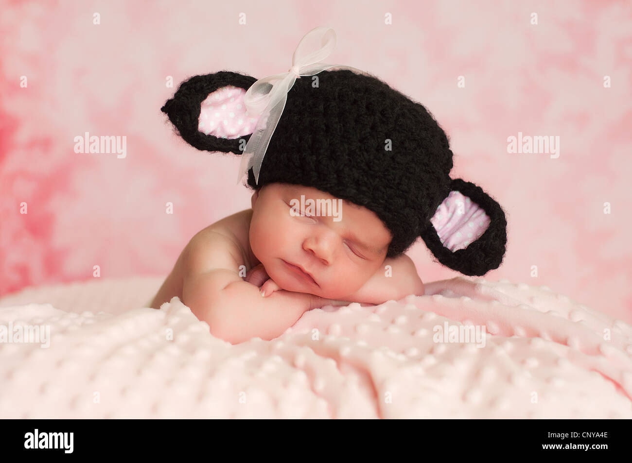 2 week old newborn girl wearing a black crocheted black sheep hat sleeping on a pink blanket with a pink background. Stock Photo