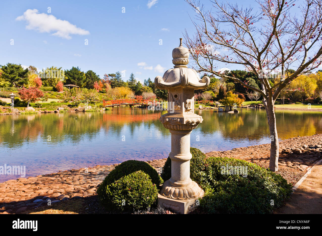 The Japanese Garden in Toowoomba, Queensland, Australia in autumn colours Stock Photo Alamy