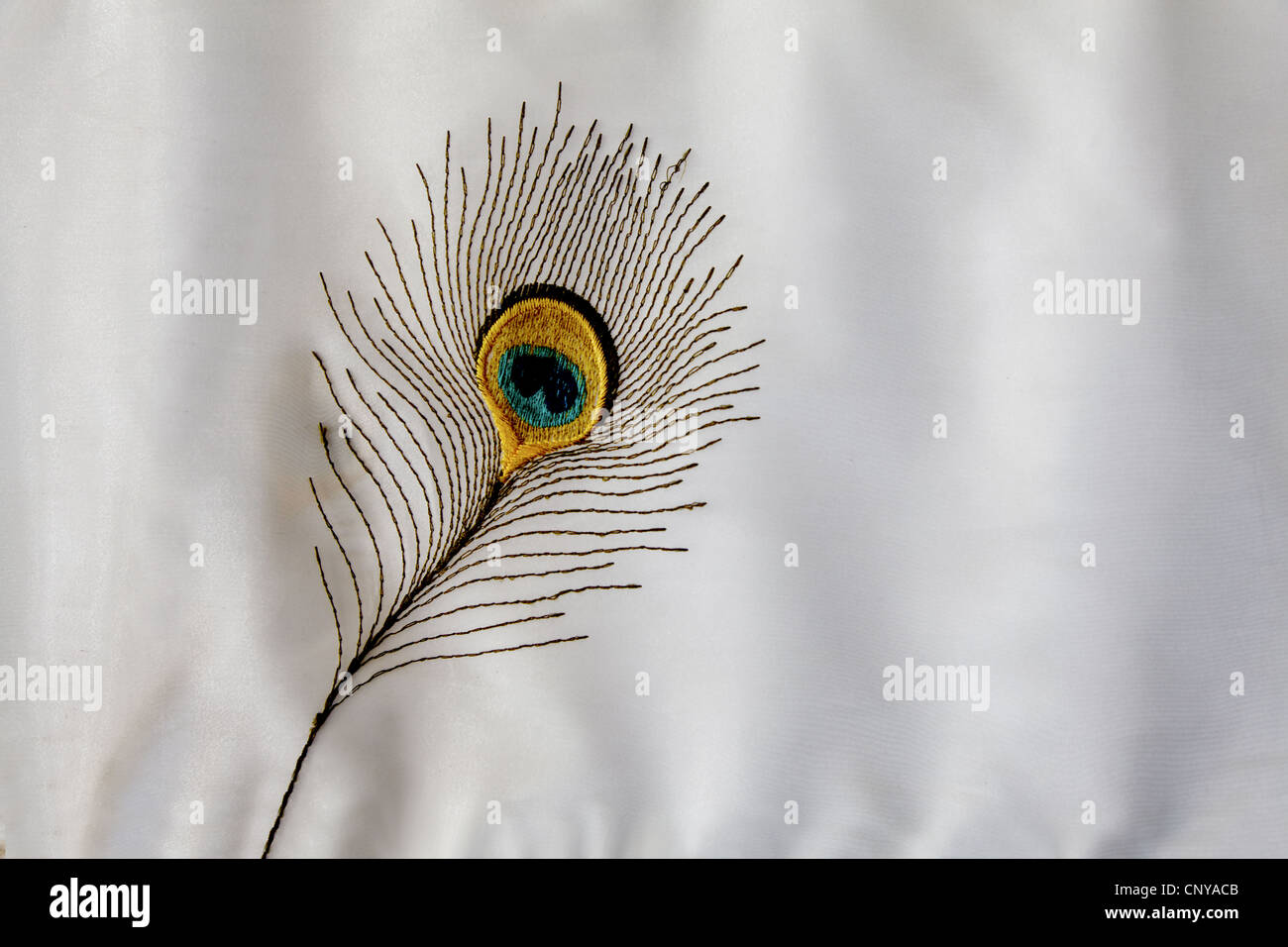 Horizontal, landscape, peacock embroidered feather white background white velvety shades Stock Photo