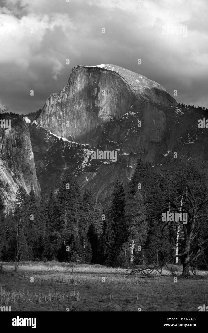 Half Dome, Yosemite Valley, Yosemite National Park, meadow, Black and white Stock Photo