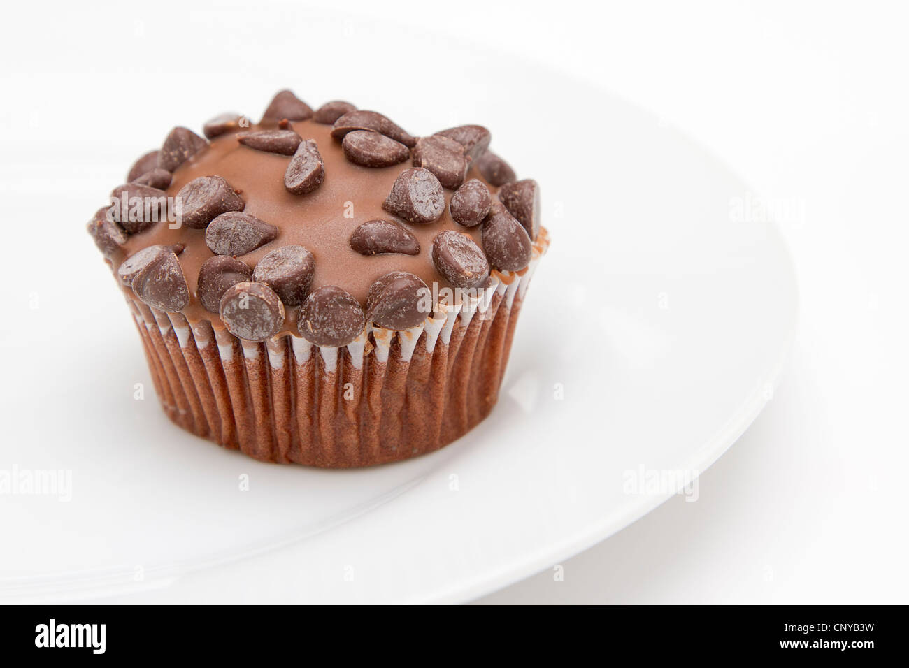 Chocolate chip cup cake on white plate Stock Photo
