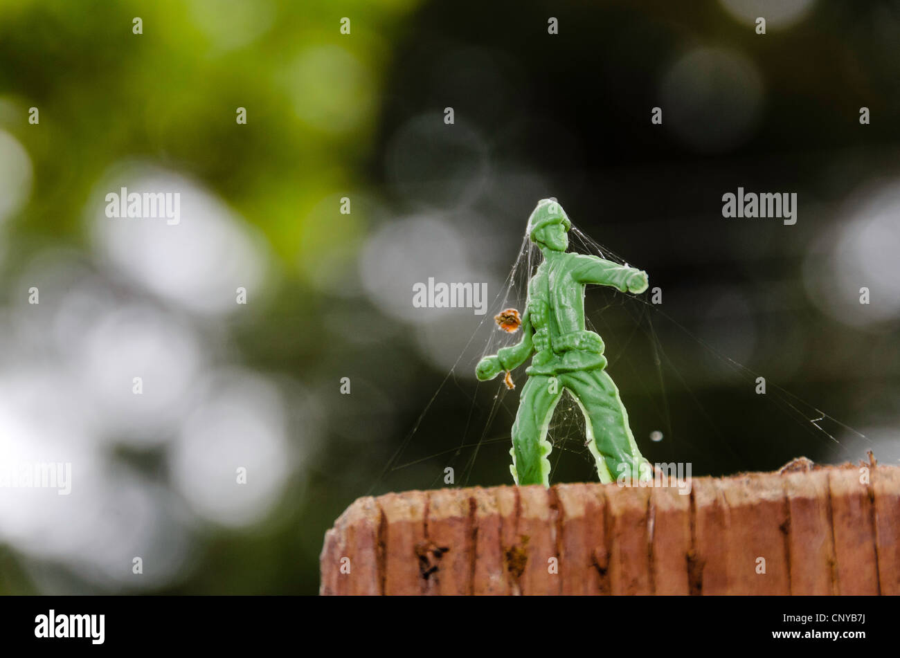 Green Army Man covered in spider webs. Stock Photo