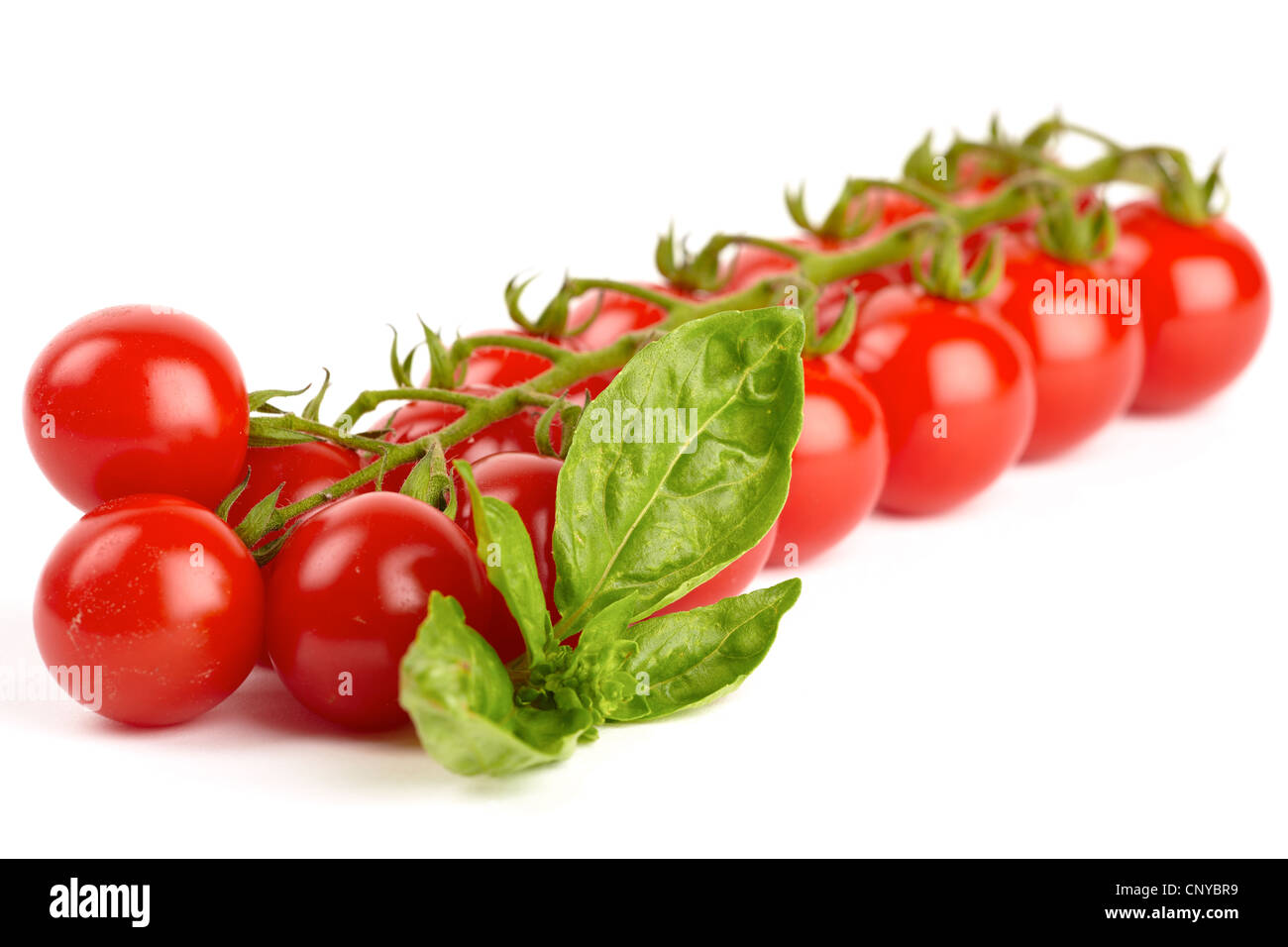 Cherry tomatoes isolated on white background Stock Photo - Alamy