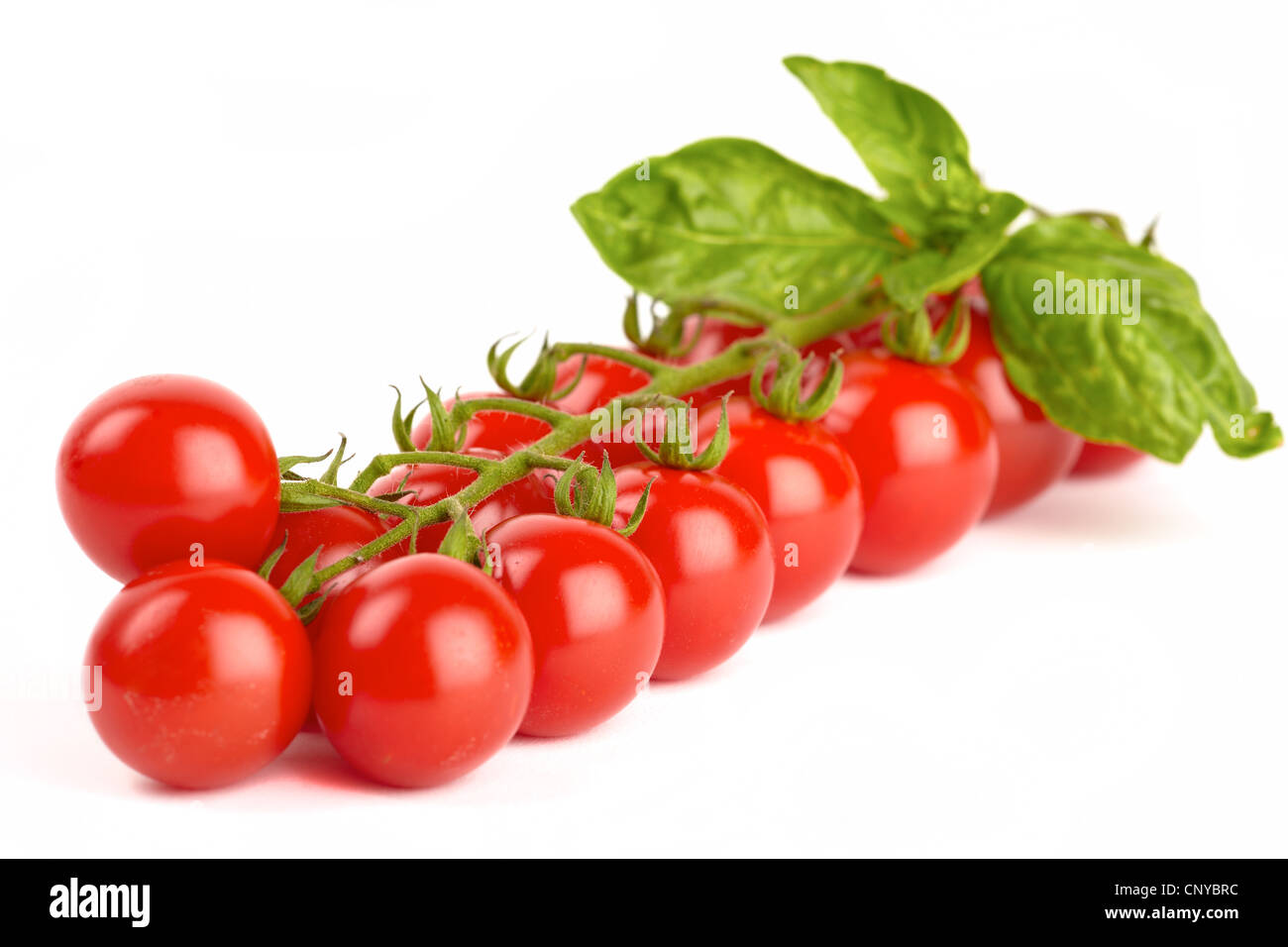 Cherry tomatoes isolated on white background Stock Photo - Alamy
