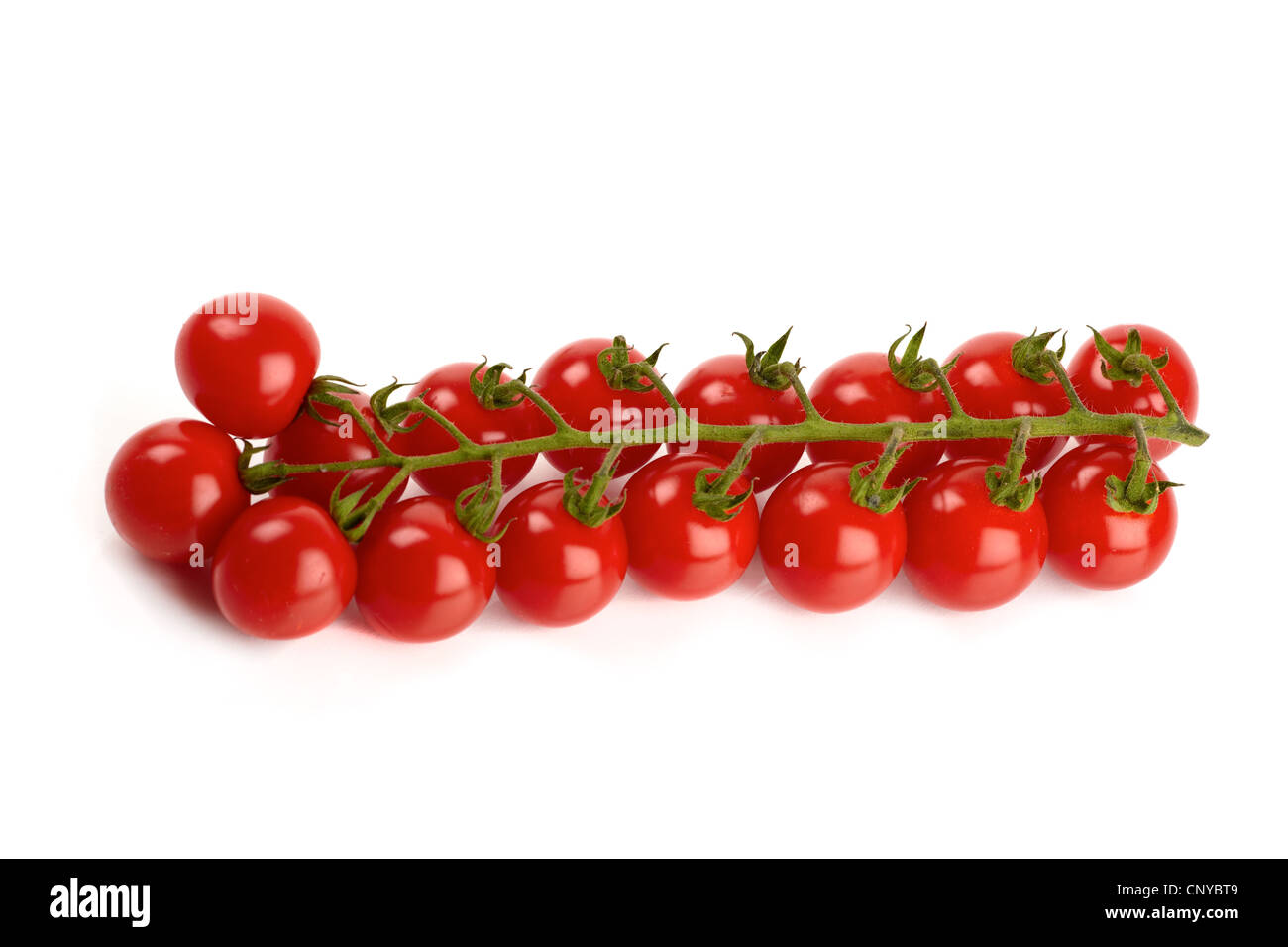 Fresh Cherry tomatoes isolated on white background Stock Photo - Alamy