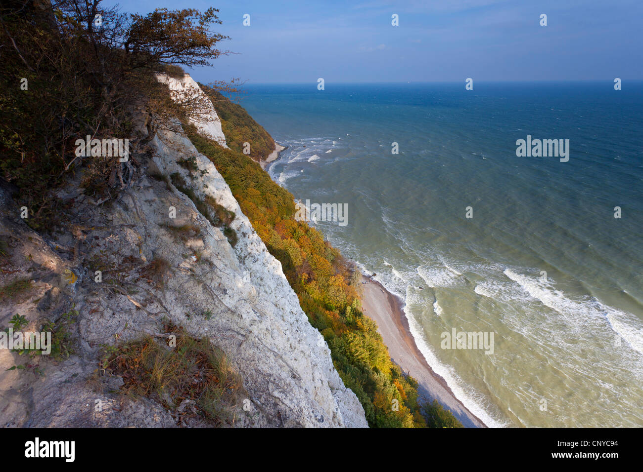view down cliff lines, Germany, Mecklenburg-Western Pomerania, Ruegen, Stubbenkammer Stock Photo