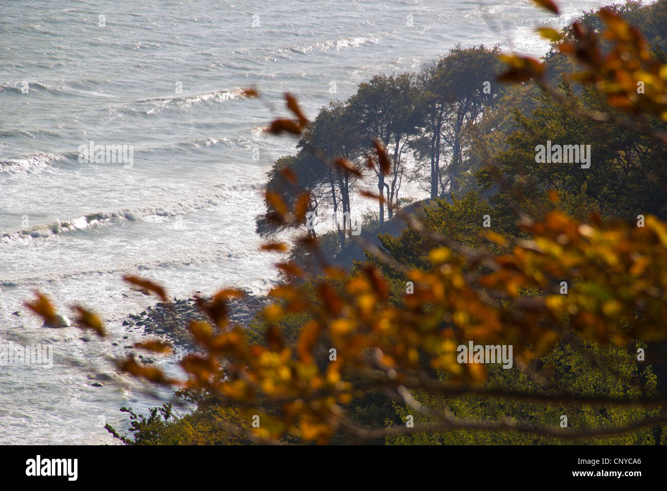 Baltic Sea Coast in autumn, Germany, Mecklenburg-Western Pomerania, Ruegen, Stubbenkammer Stock Photo