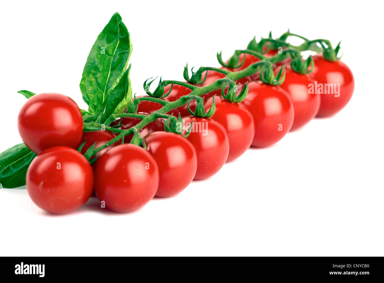 Cherry tomatoes isolated on white background Stock Photo - Alamy