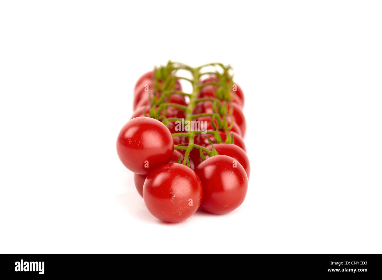 Cherry tomatoes isolated on white background Stock Photo - Alamy
