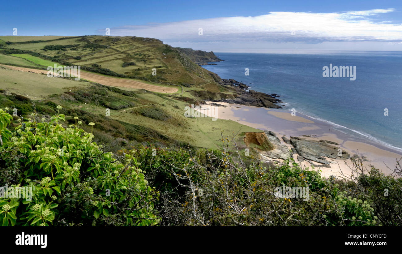 A beach in the South Hams district of Devon. Stock Photo