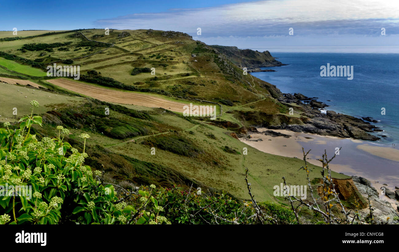 A beach in the South Hams district of Devon. Stock Photo